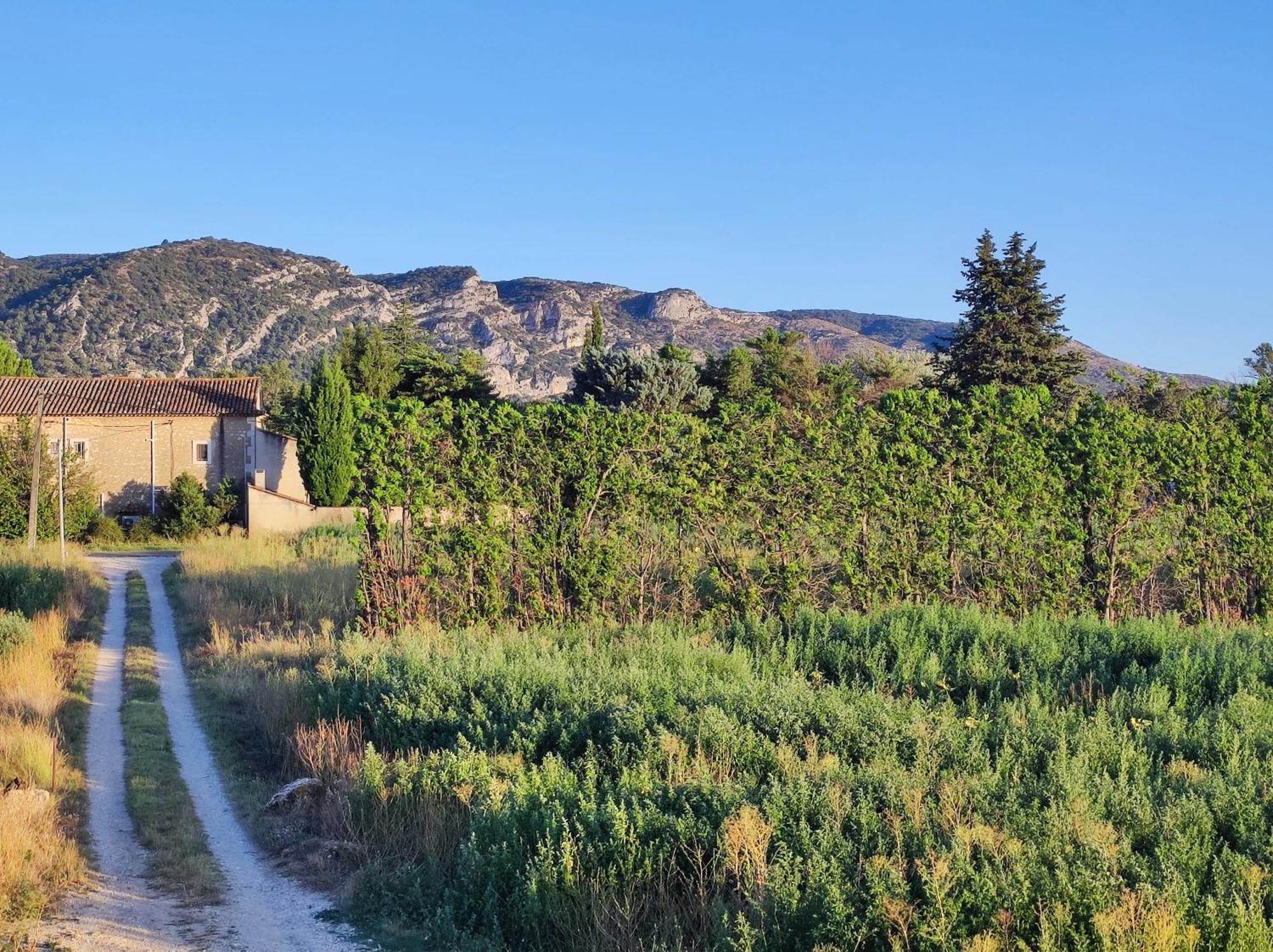 Chambre 3 Personnes Avec Salle De Bain Dans Mas Du Luberon Robion en Luberon Exterior photo